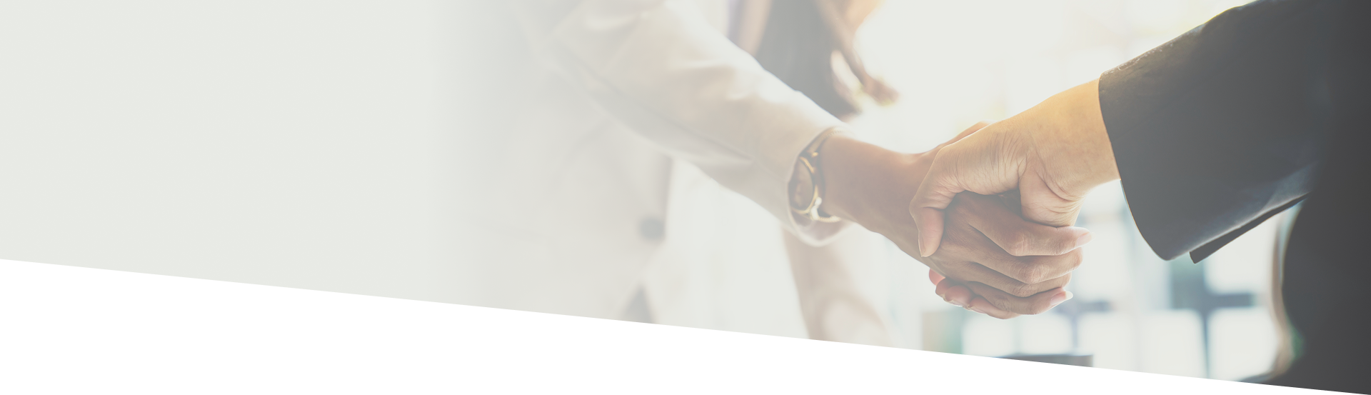 partnership banner
