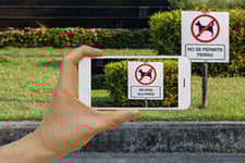 Phone capturing 'No Dogs Allowed' sign in English and Spanish.