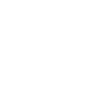 translation icon