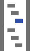 Projektmanagement